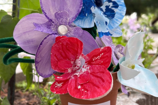 SZURKOLJUNK EGYÜTT A KÓSOS ORCHIDEÁKNAK!